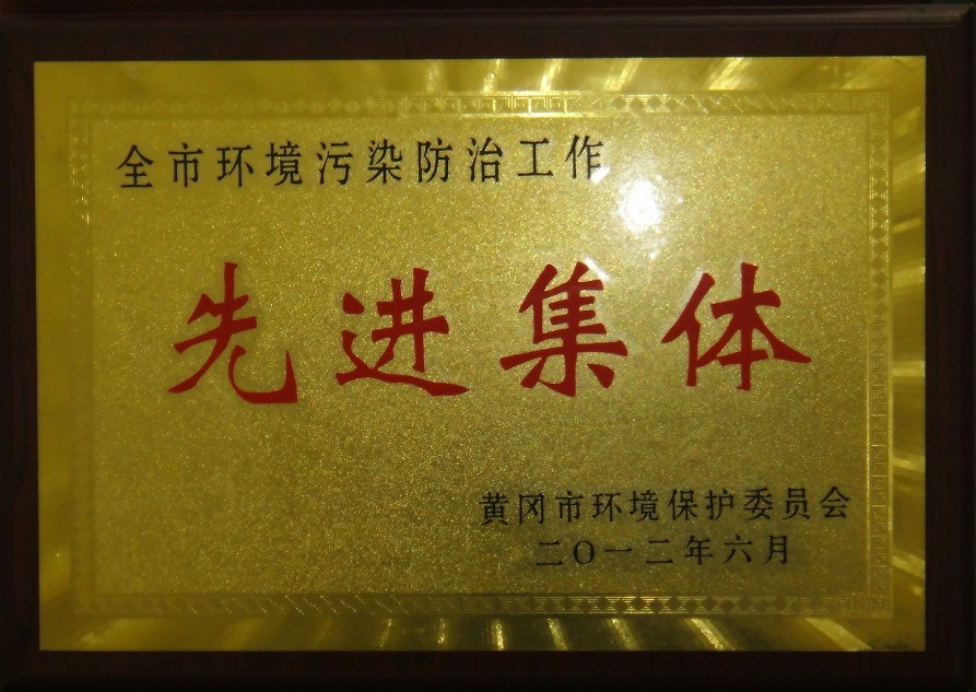 全市環(huán)境污染防治工作先進(jìn)集體(黃岡亞東) 全市環(huán)境污染防治工作先進(jìn)集體(黃岡亞東)
