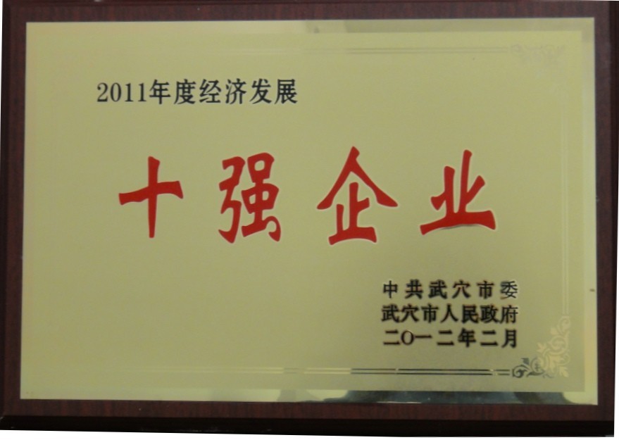 2011年度經(jīng)濟發(fā)展十強企業(yè)(黃岡亞東) 2011年度經(jīng)濟發(fā)展十強企業(yè)(黃岡亞東)