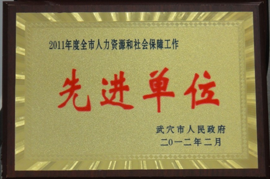 2011年度全市人力資源和社會保障先進單位(黃岡亞東) 2011年度全市人力資源和社會保障先進單位(黃岡亞東)