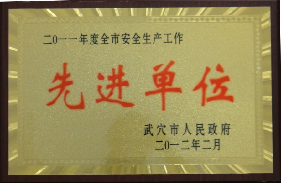 2011年度全市安全生產(chǎn)工作先進單位(黃岡亞東) 2011年度全市安全生產(chǎn)工作先進單位(黃岡亞東)