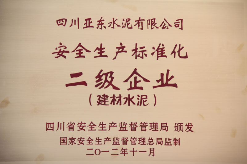 安全生產(chǎn)標(biāo)準(zhǔn)化二級(jí)企業(yè)(四川亞東) 安全生產(chǎn)標(biāo)準(zhǔn)化二級(jí)企業(yè)(四川亞東)