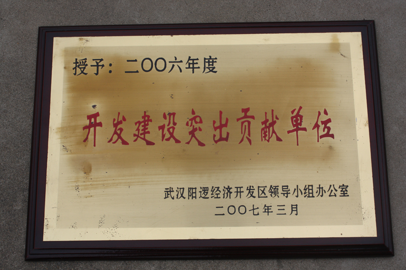 開發(fā)建設(shè)突出貢獻(xiàn)單位(湖北亞東) 開發(fā)建設(shè)突出貢獻(xiàn)單位(湖北亞東)