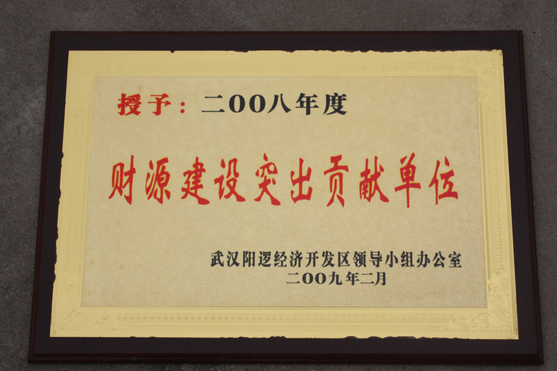 財源建設突出貢獻單位(湖北亞東) 財源建設突出貢獻單位(湖北亞東)