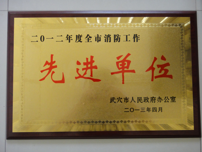 消防工作先進單位(黃岡亞東) 消防工作先進單位(黃岡亞東)