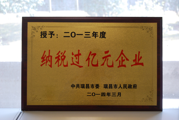 瑞昌市『納稅過億元企業』(江西亞東) 瑞昌市『納稅過億元企業』(江西亞東)