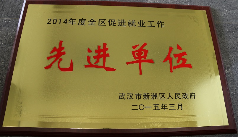 2014年度全區促進就業工作先進單位(湖北亞東) 2014年度全區促進就業工作先進單位(湖北亞東)
