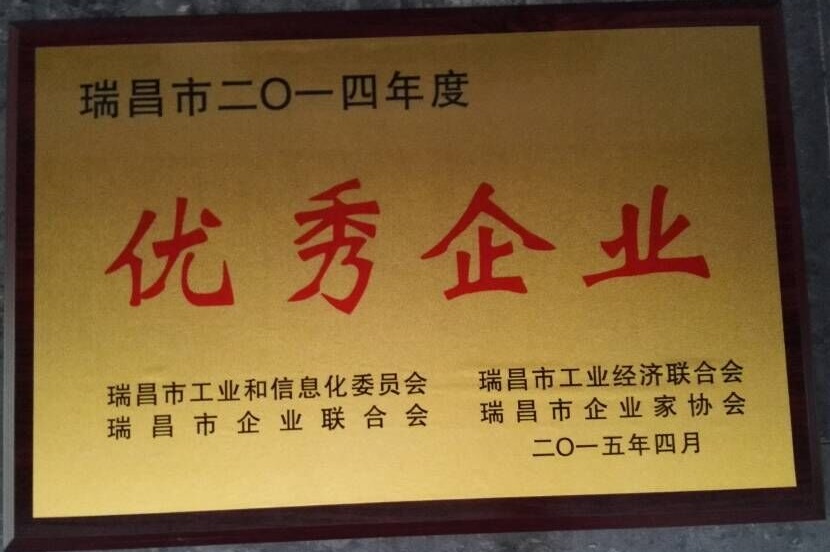 瑞昌市優秀企業獎(江西亞東) 瑞昌市優秀企業獎(江西亞東)
