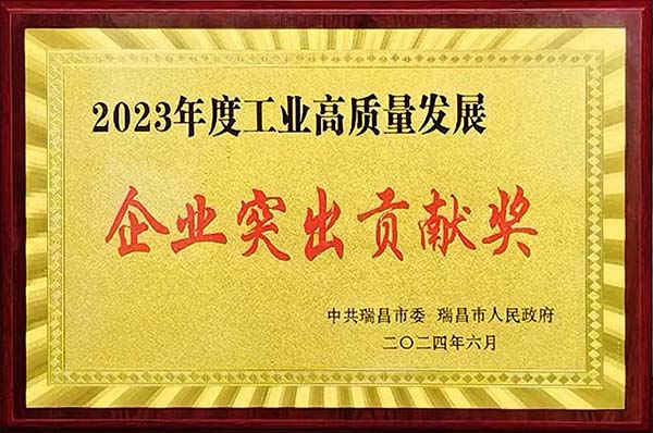 2024年6月24日，瑞昌市召開2023年度全市綜合考核總結(jié)暨通報(bào)表?yè)P(yáng)大會(huì)，江西亞東獲頒“2023年度工業(yè)高質(zhì)量發(fā)展企業(yè)突出貢獻(xiàn)獎(jiǎng)”。